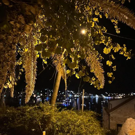 Villa Fortuna House Vis