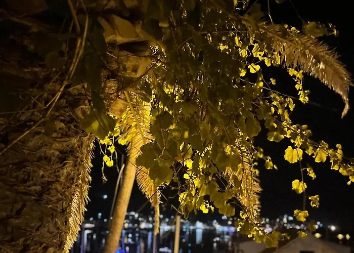 Villa Fortuna House *