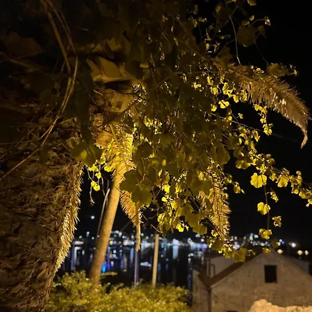 别墅 Fortuna House *