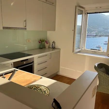 Fortuna House 别墅 维斯