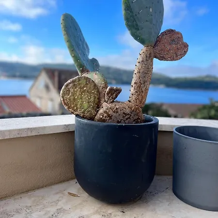 Fortuna House 别墅