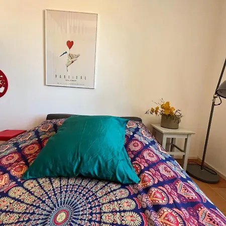 Fortuna House 维斯